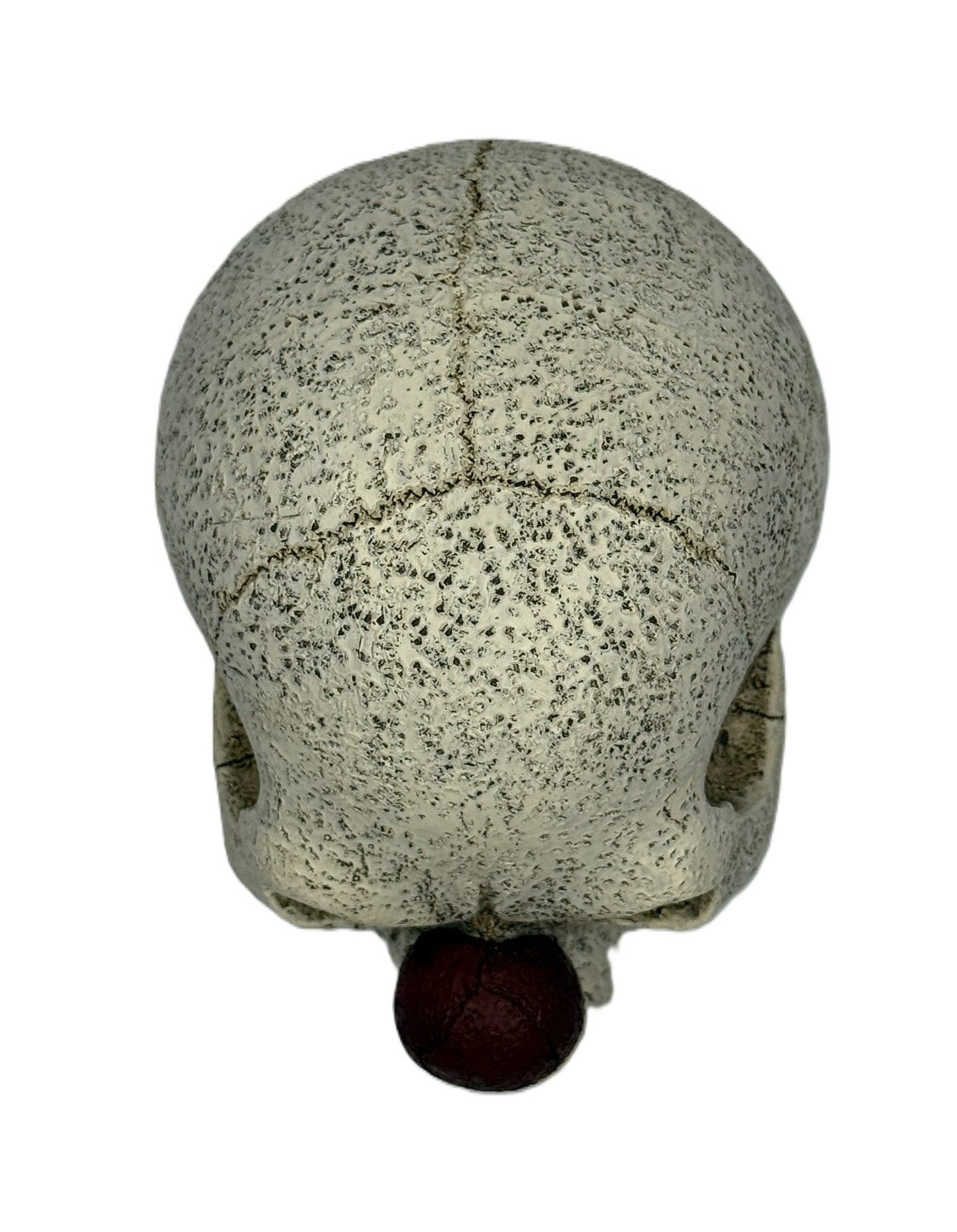 Top back view of clown skull statue showing surface cracks and weathered bone texture with red nose visible