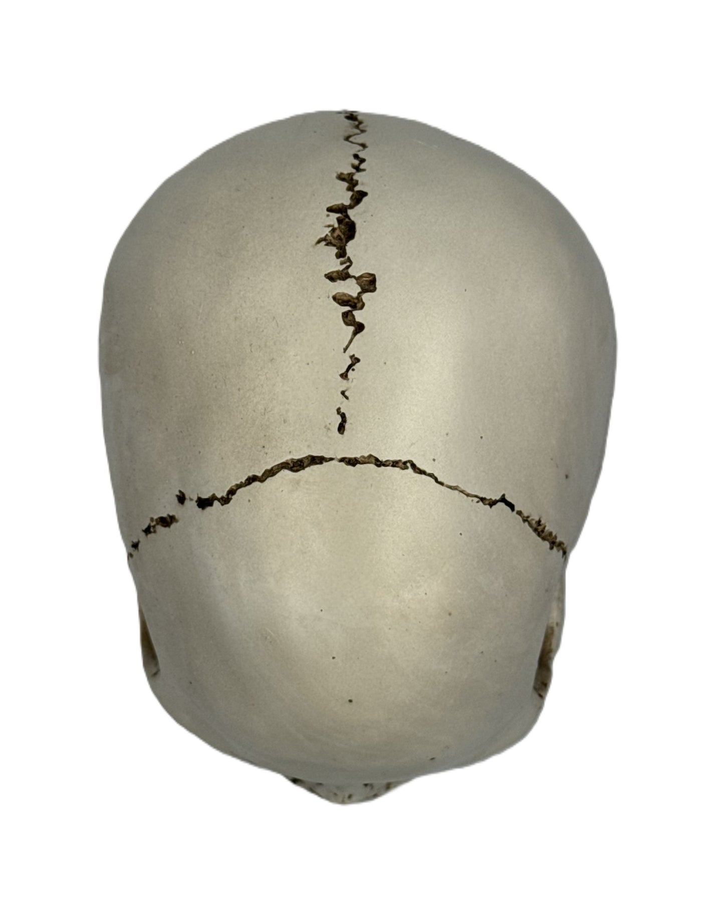 Back view of skull statue showing aged surface texture and crack detailing across the rear