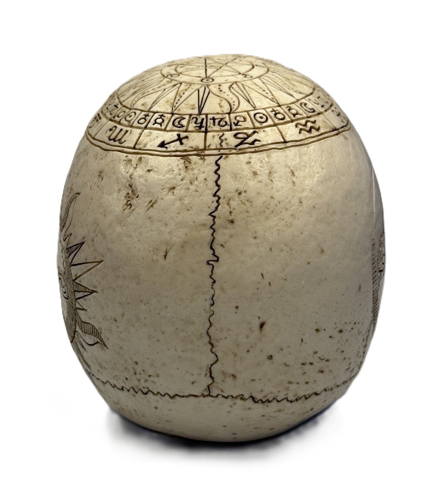 Back view of zodiac skull decor highlighting aged bone texture and detailed engraving lines
