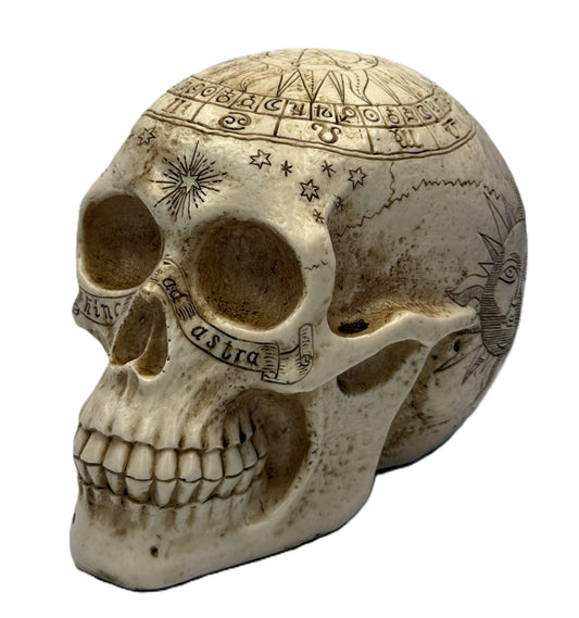 Front angled view of astrology skull statue featuring zodiac engravings and celestial detailing on gothic resin decor
