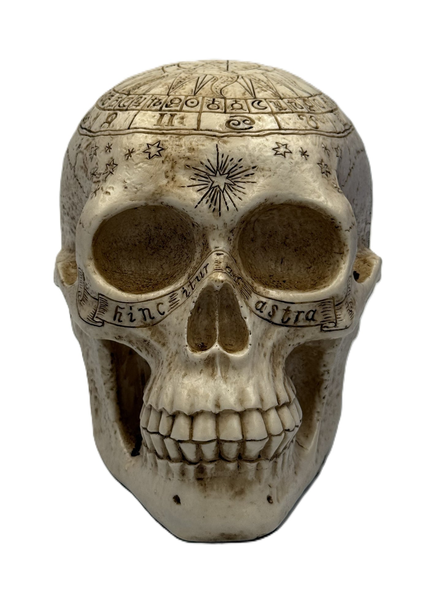 Centered front view of celestial skull decor showing symmetrical zodiac carvings and detailed facial structure
