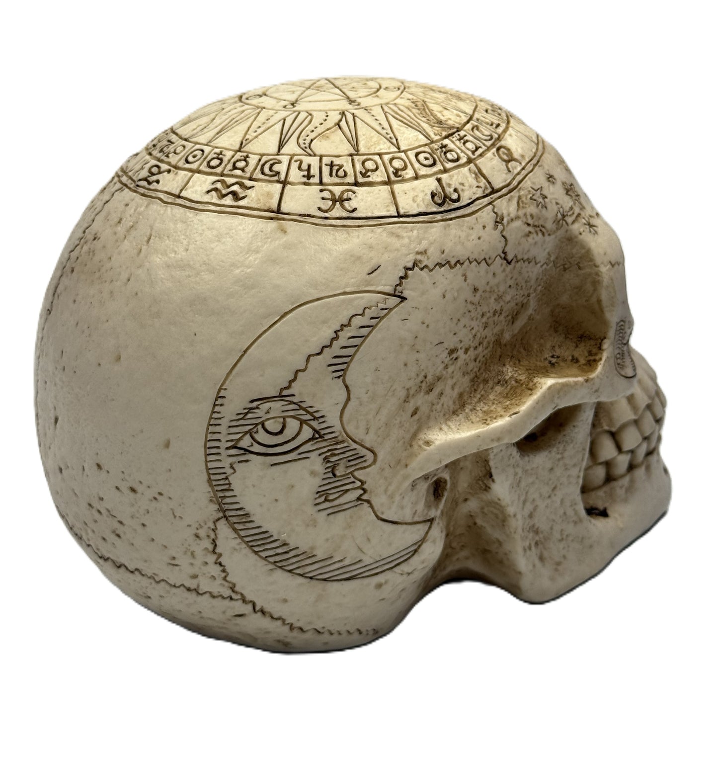 Opposite side view of skull statue featuring crescent moon engraving and celestial themed detailing
