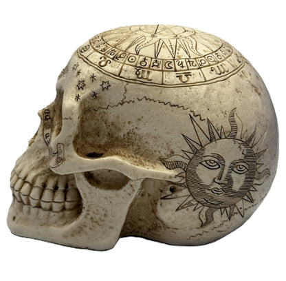 Side view of celestial skull statue showing engraved sun face design and textured bone finish
