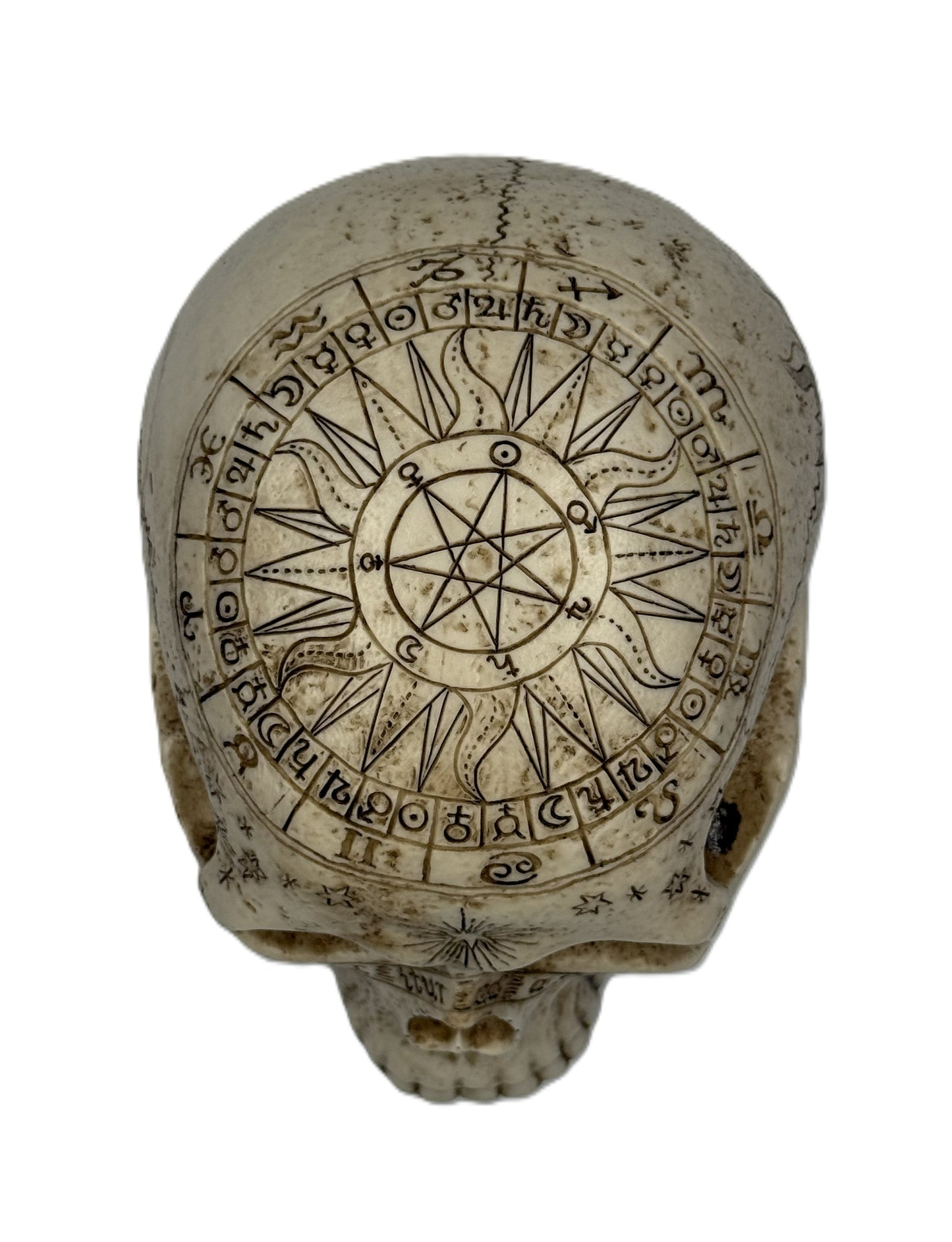 Top view of astrology skull statue displaying intricate zodiac wheel and pentagram engraving
