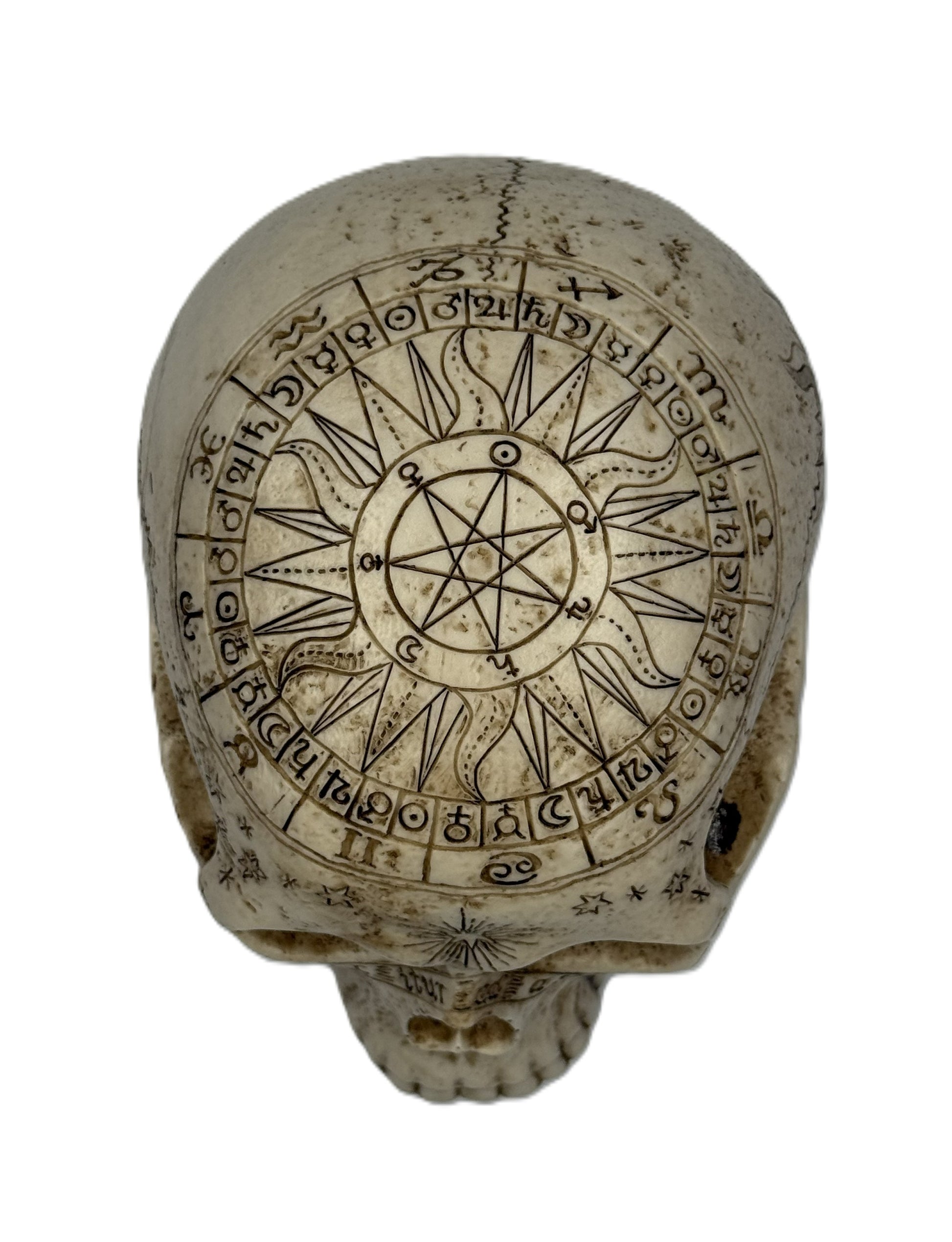 Top view of astrology skull statue displaying intricate zodiac wheel and pentagram engraving
