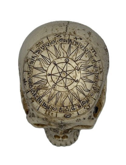 Top view of astrology skull statue displaying intricate zodiac wheel and pentagram engraving
