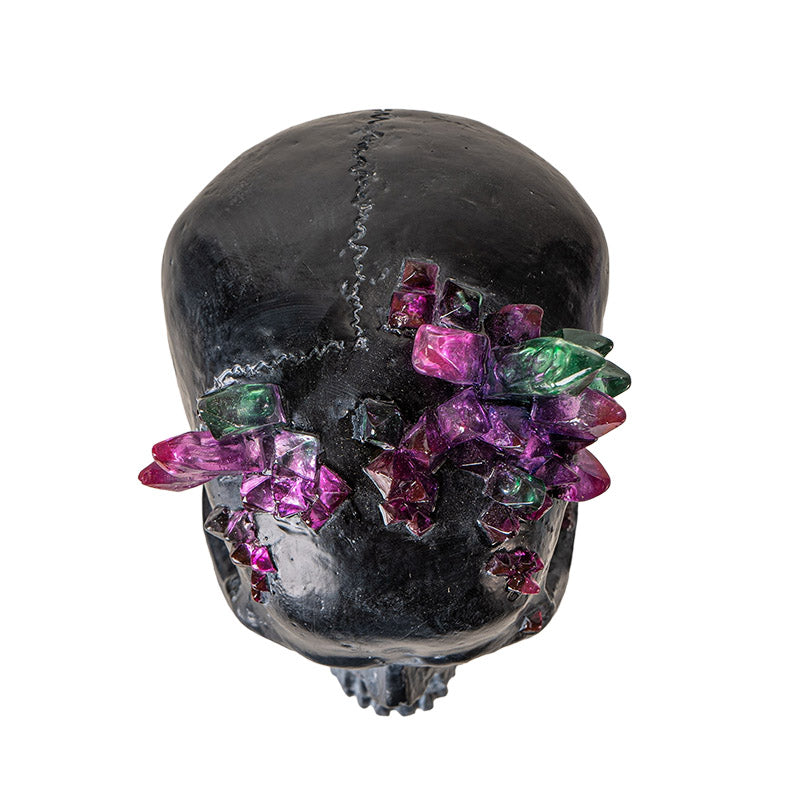 Top view highlighting clustered crystal formations on black skull
