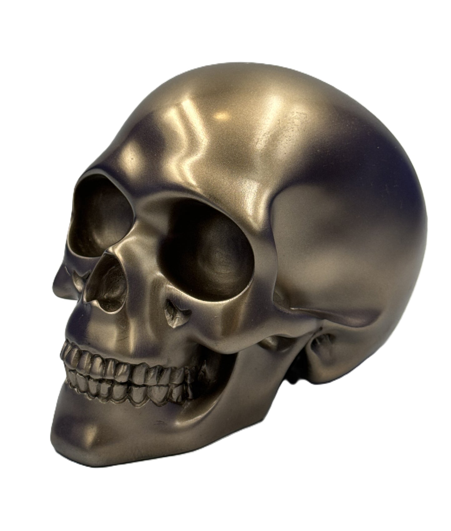 Front angled view of bronze skull head statue with smooth metallic finish and realistic bone structure
