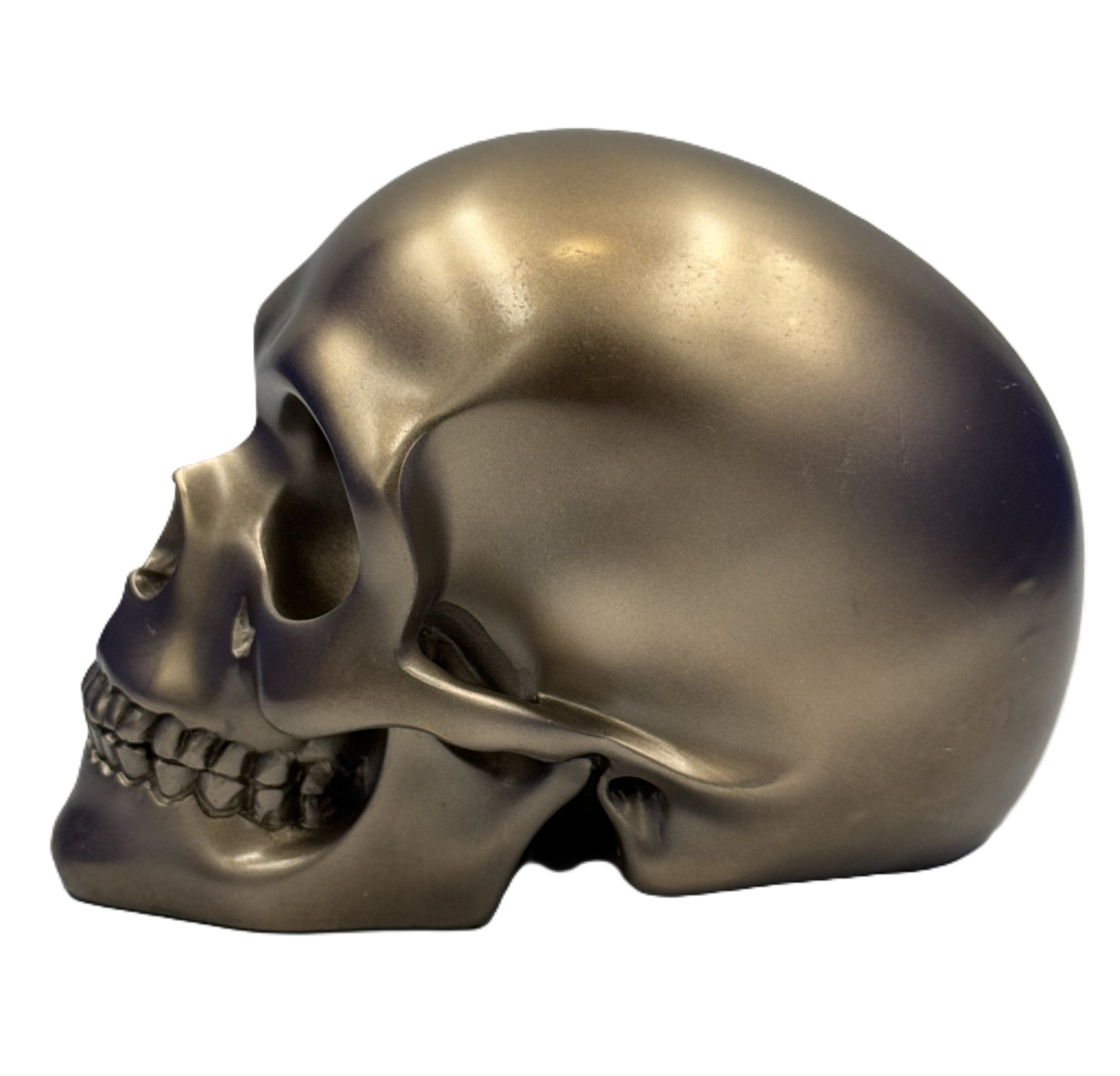 Left side view of bronze skull decor showcasing sleek contours and polished metallic surface
