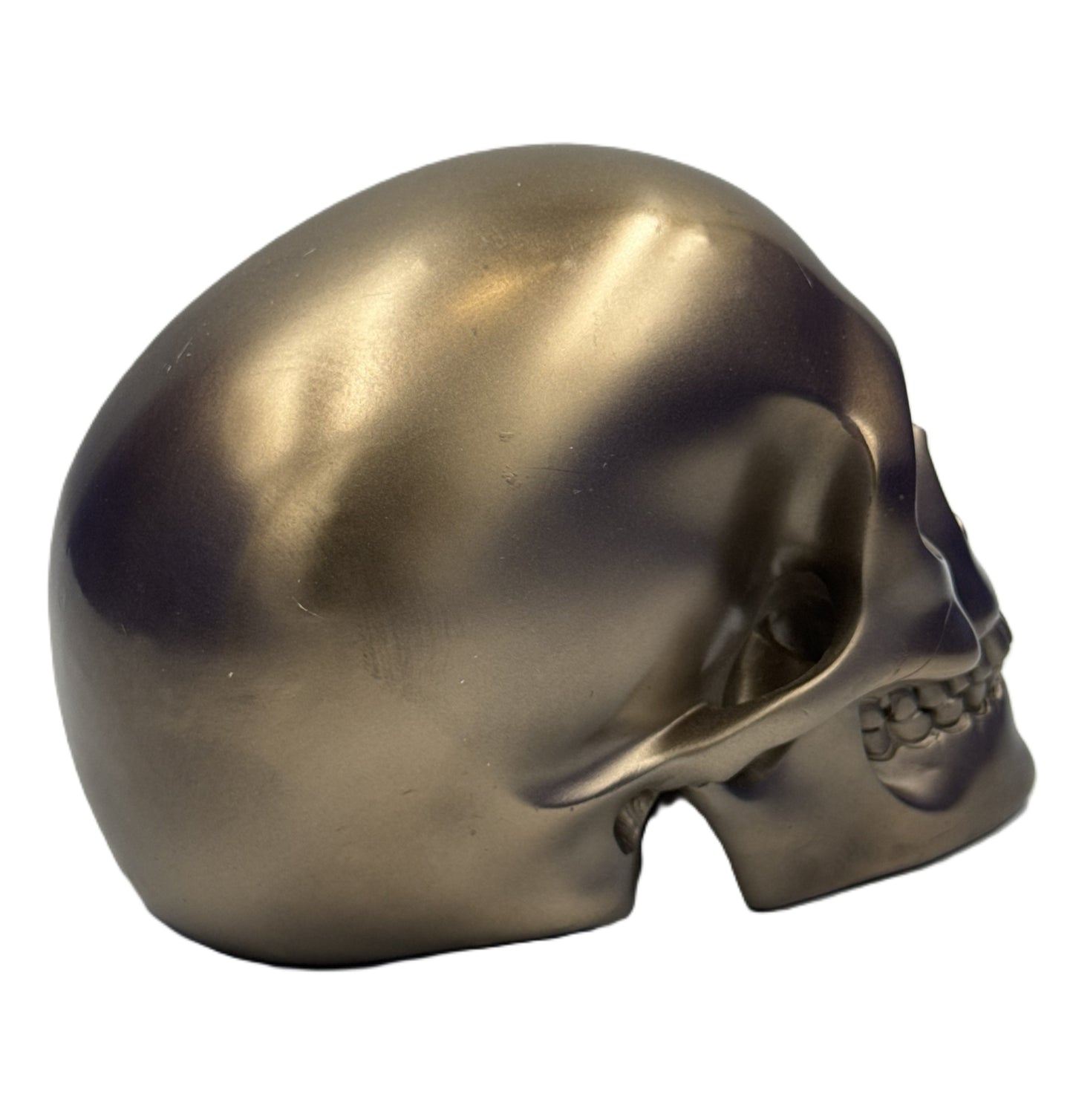 Right side view of bronze skull statue with clean lines and reflective metallic texture
