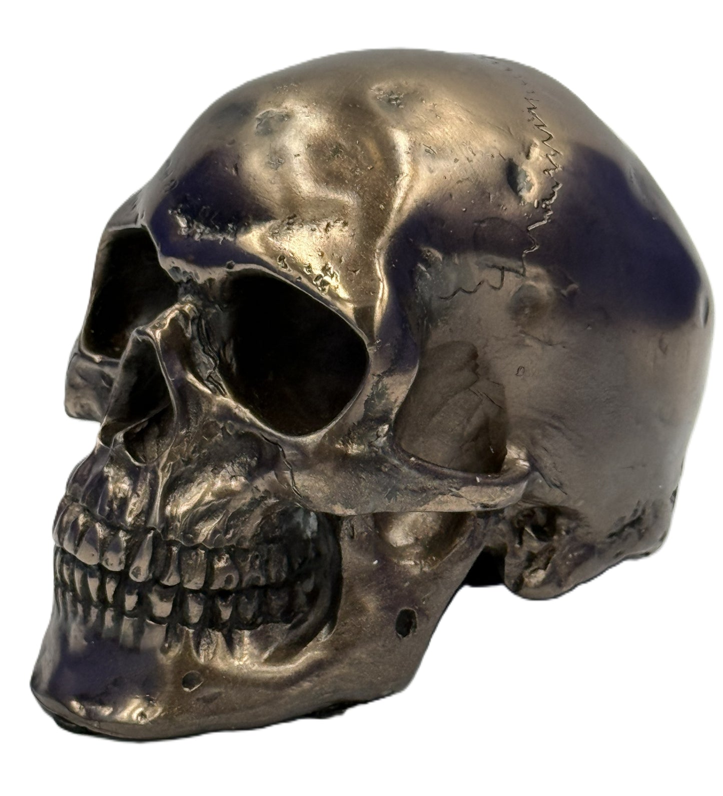 Front left angled view of small bronze skull statue with distressed gothic detailing cold cast resin collectible
