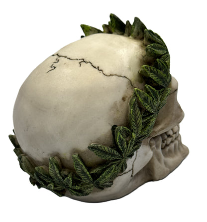 Rear angled view of decorative skull with cannabis leaf crown and aged bone finish
