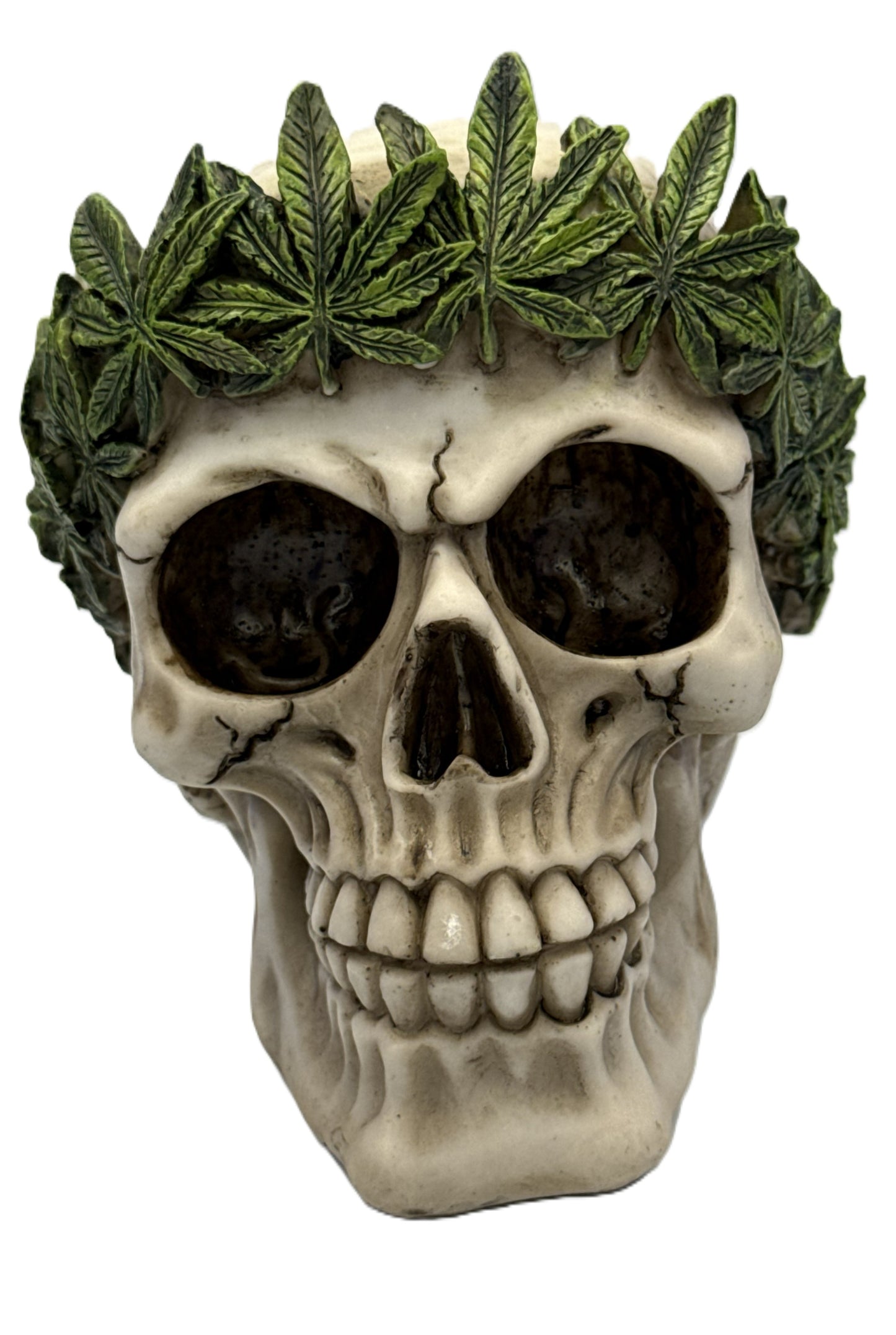 Front view of skull decor with detailed teeth structure and green cannabis leaf wreath crown
