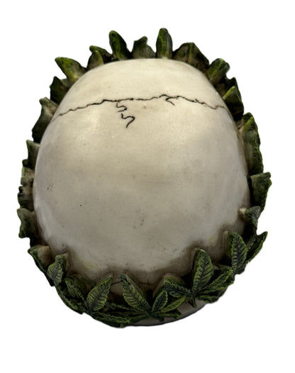 Top view of skull statue showing leaf crown encircling the head and natural crack detailing on surface

