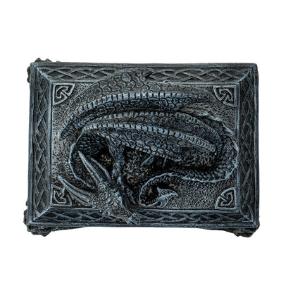 Top view of Celtic dragon box featuring coiled dragon with textured scales
