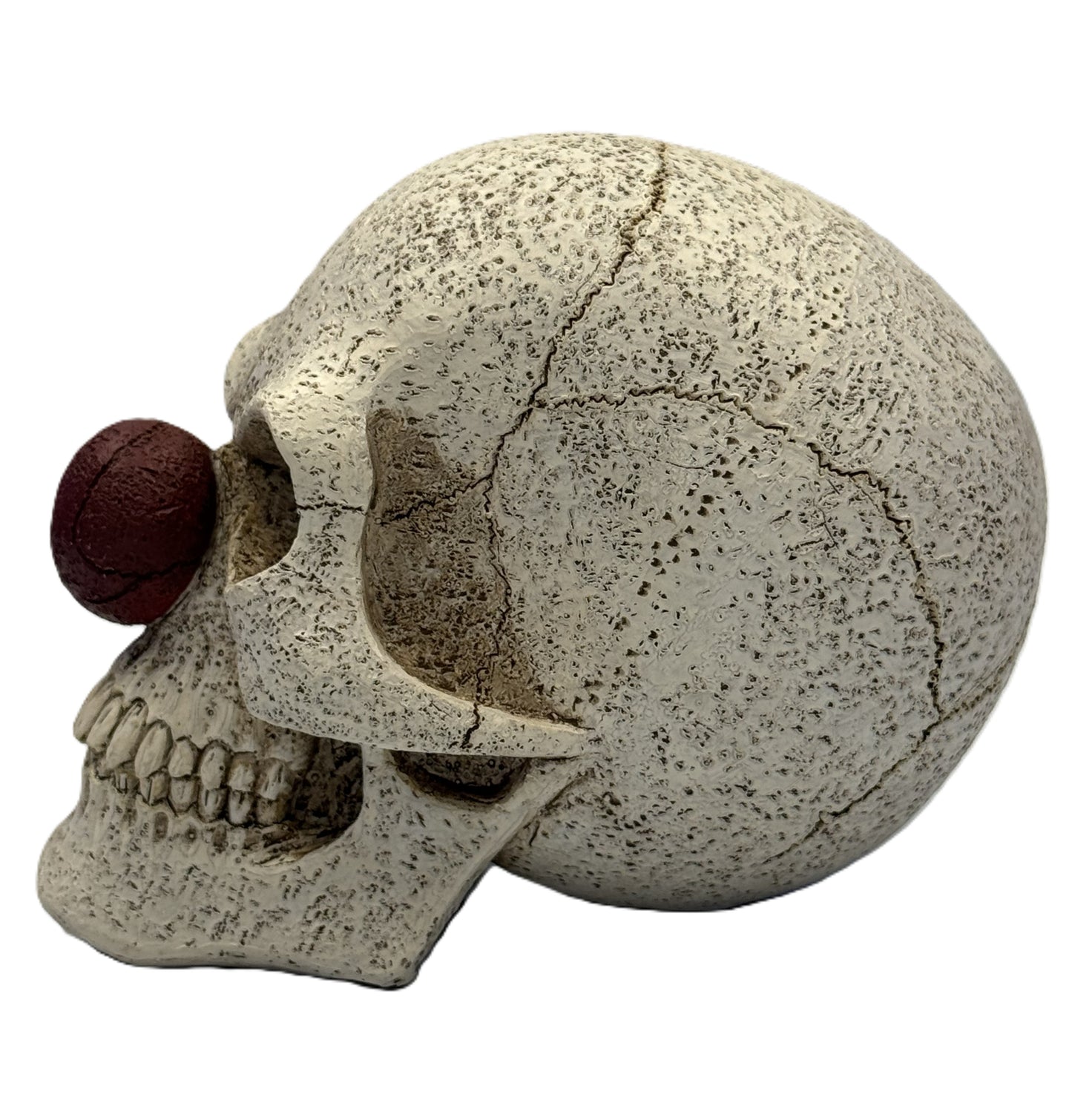Left side view of clown skull figurine showing red nose cracked skull surface and realistic bone texture
