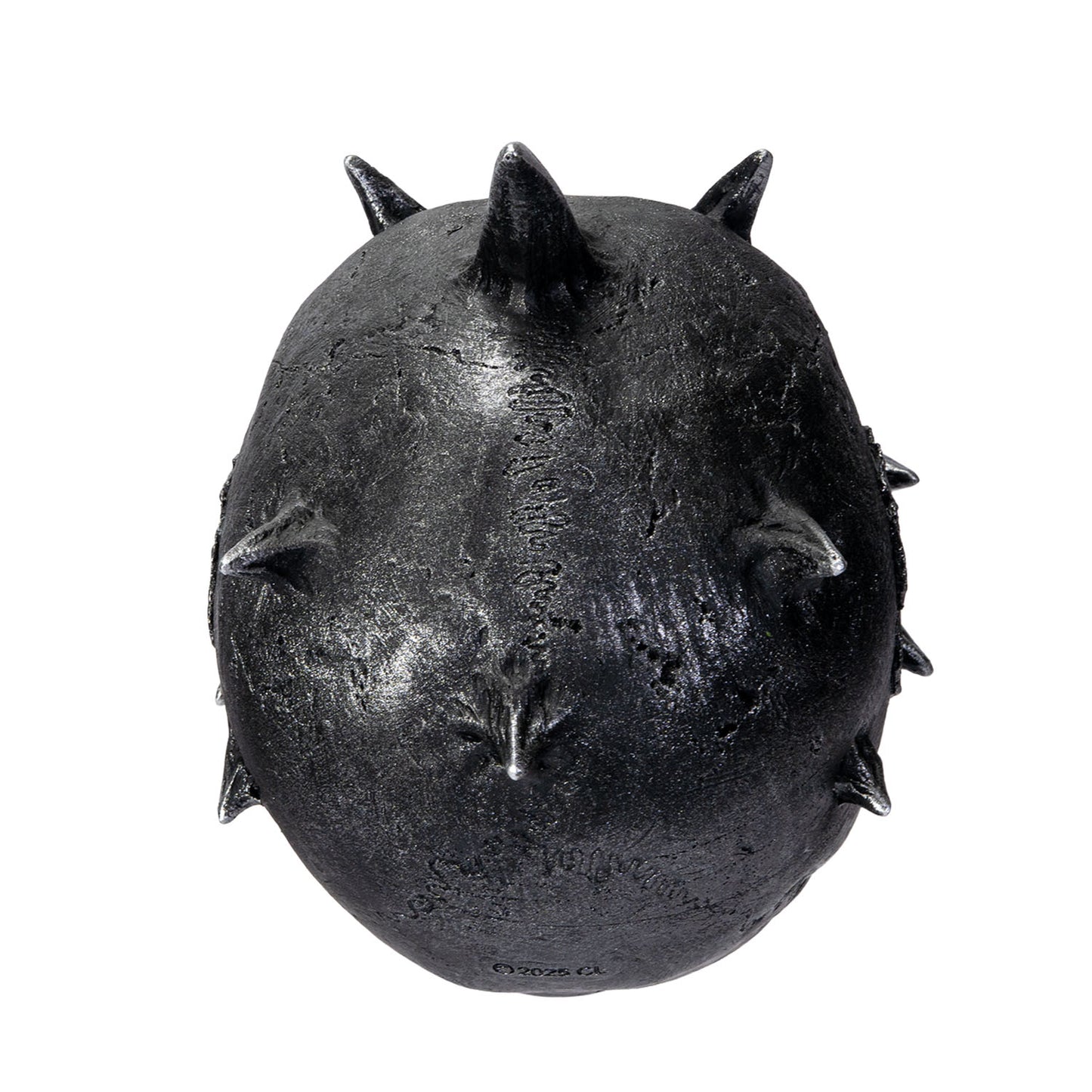 Top view of skull showing multiple horn spikes and textured surface
