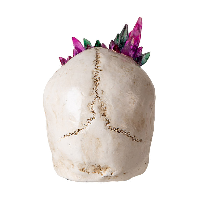 Back view showing crystal formations and skull texture detail
