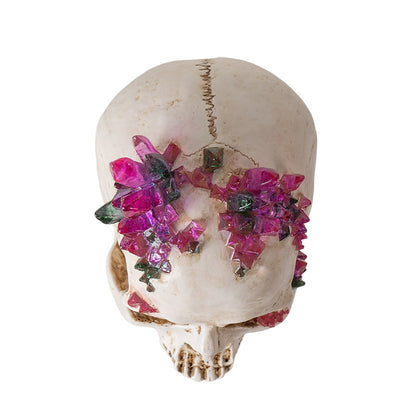 Top view highlighting clustered crystal growth on skull

