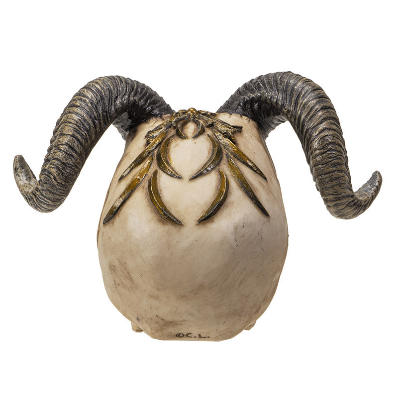 Back view showing smooth skull texture and horn placement
