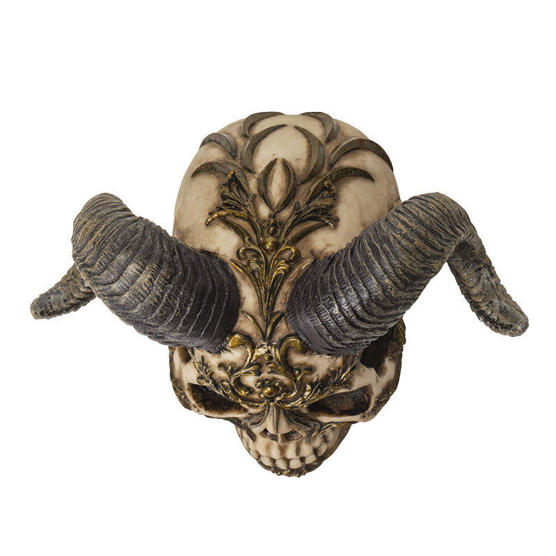 Top view highlighting horn curvature and decorative engravings
