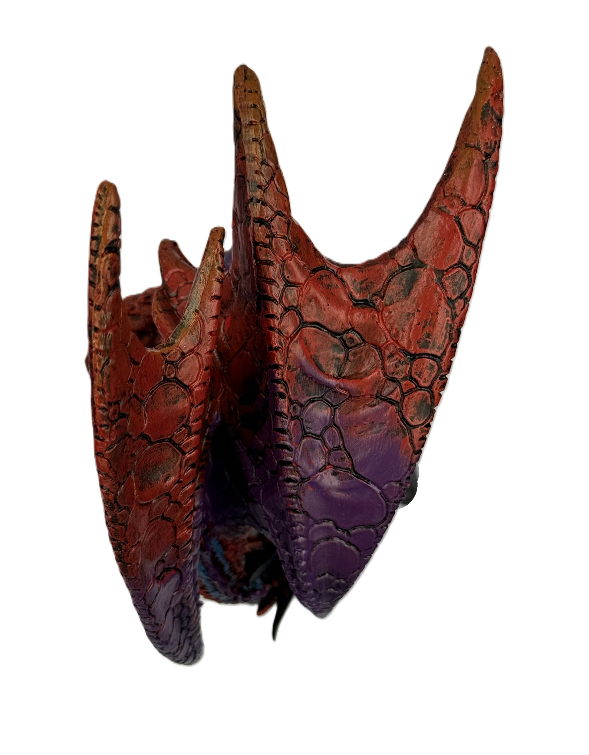 Top view of dragon wings showing scale detail and color variation in red and dark tones
