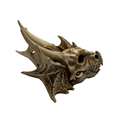 Angled perspective of dragon skull sculpture showing detailed teeth horns and skeletal wings
