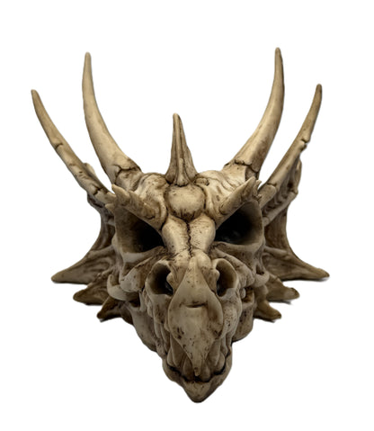Front view of dragon skull statue with prominent horns and detailed bone texture
