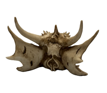 Rear view of dragon skull decor highlighting extended horns and skeletal wing structure
