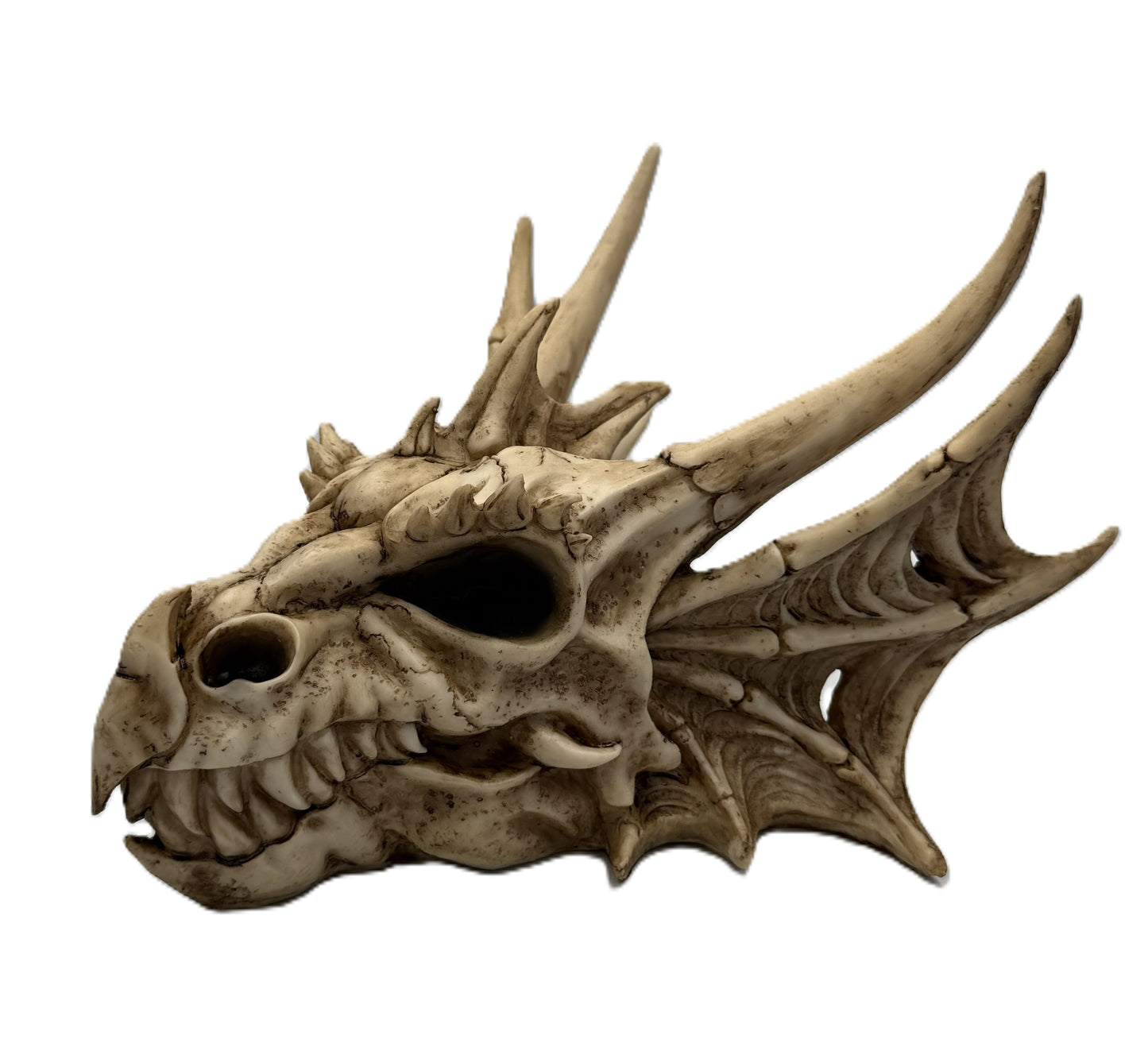 Side view of dragon skull head statue with horns and wing-like bone structure fantasy resin decor
