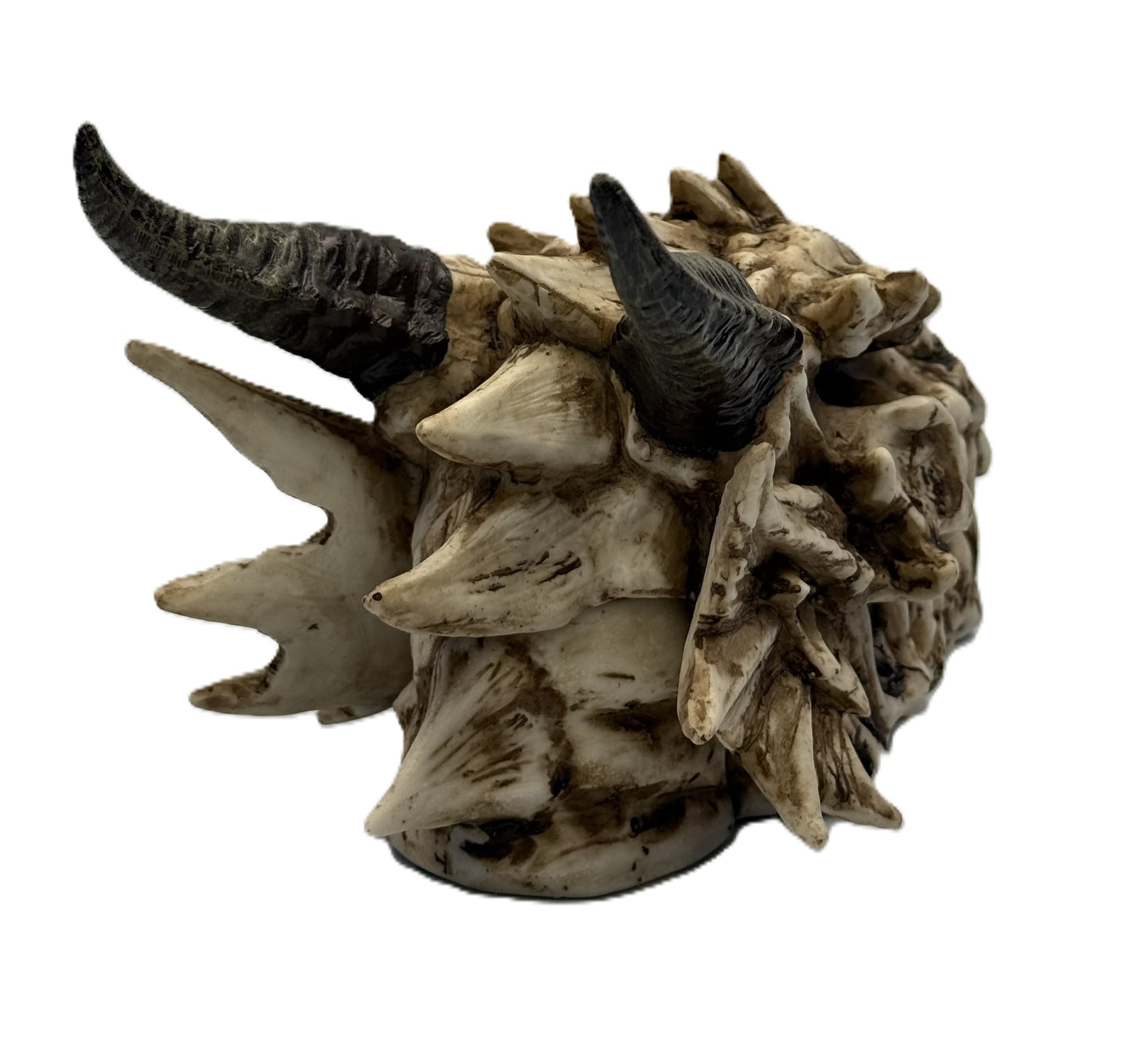 Back view of dragon skull box featuring large curved horns and textured bone finish
