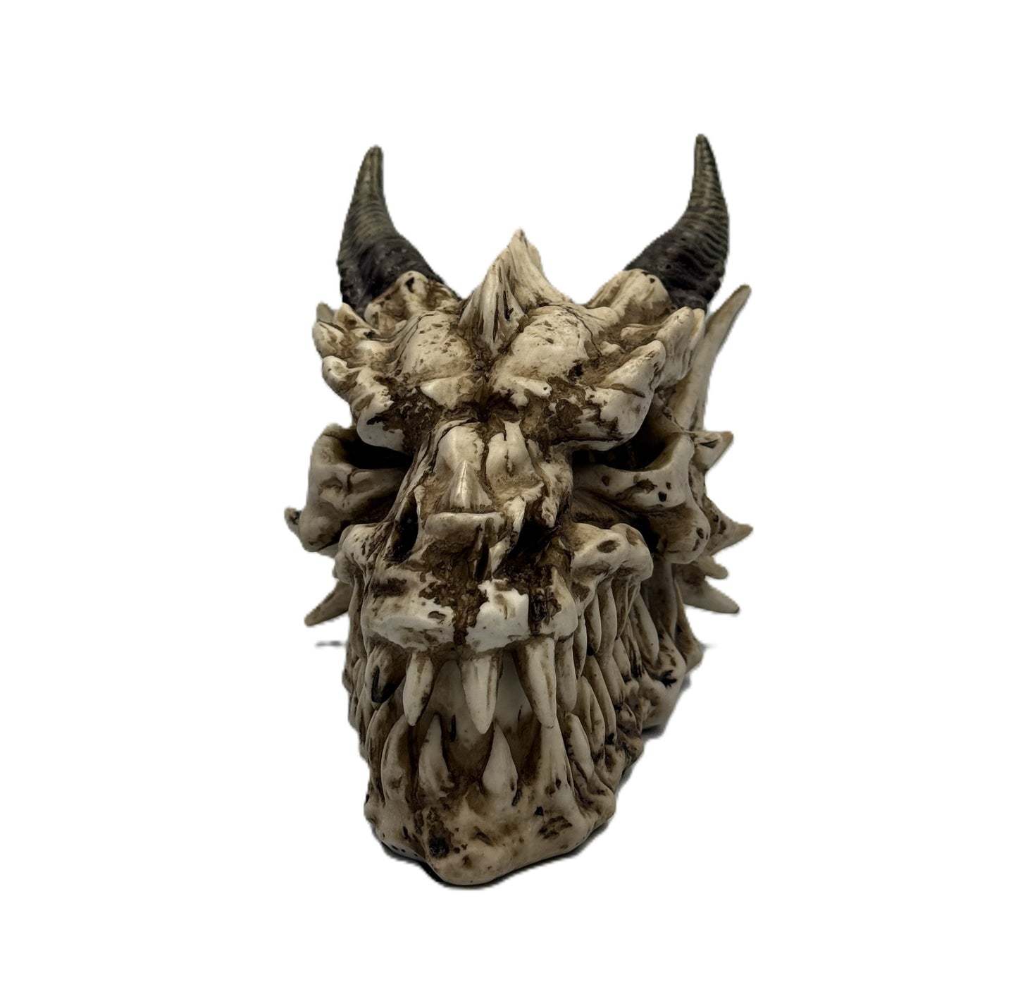 Angled front view of dragon skull keepsake box showing intricate spikes and horn details
