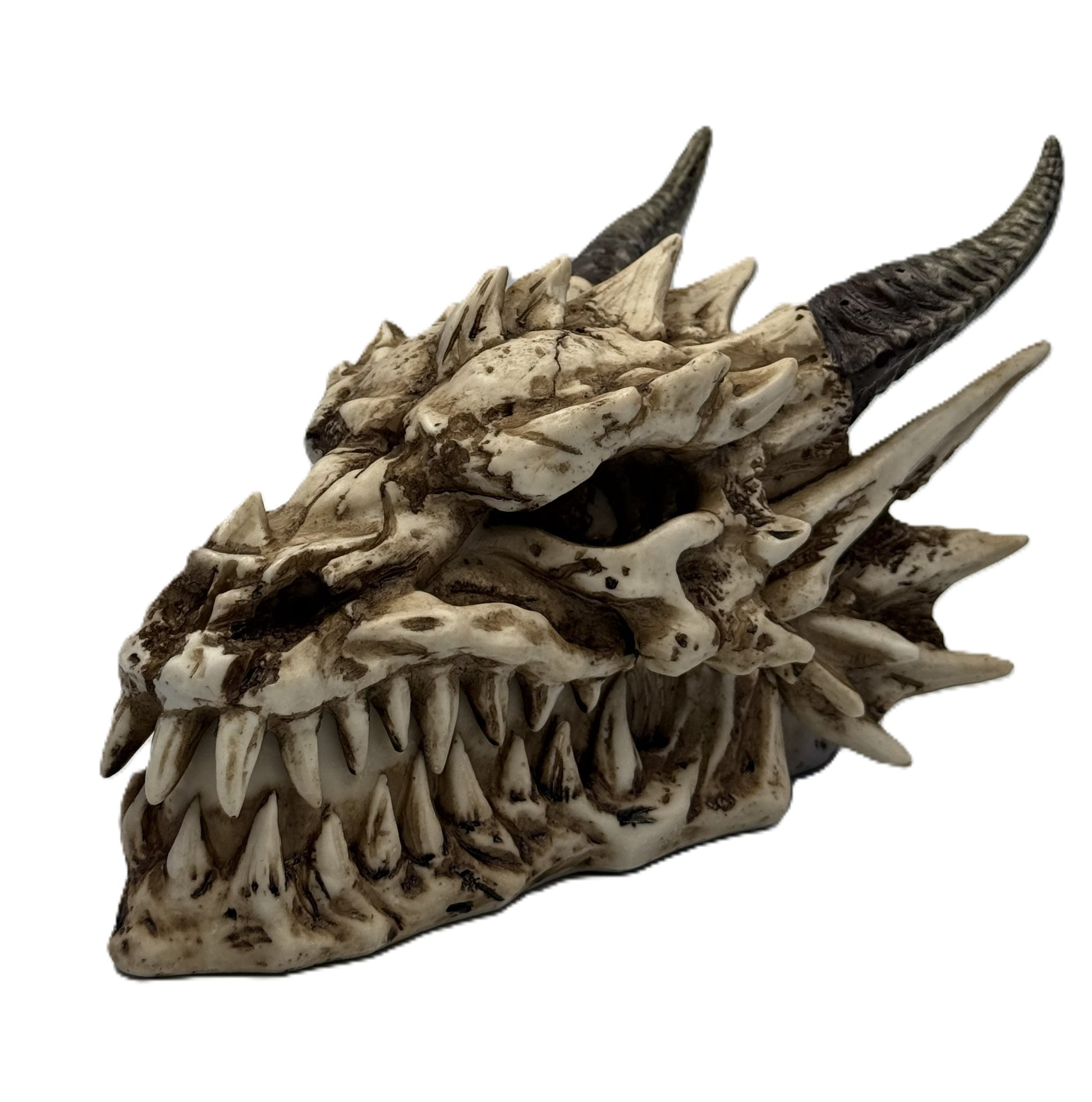Dragon skull storage box front view with horns, sharp teeth, and detailed gothic bone texture
