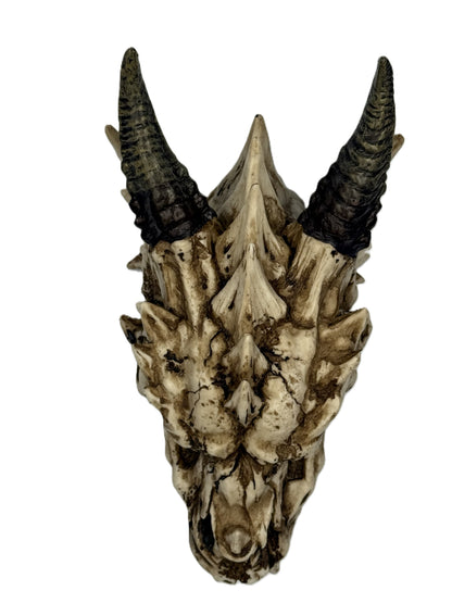 Top view of dragon skull storage box displaying symmetrical horn placement and spiked details
