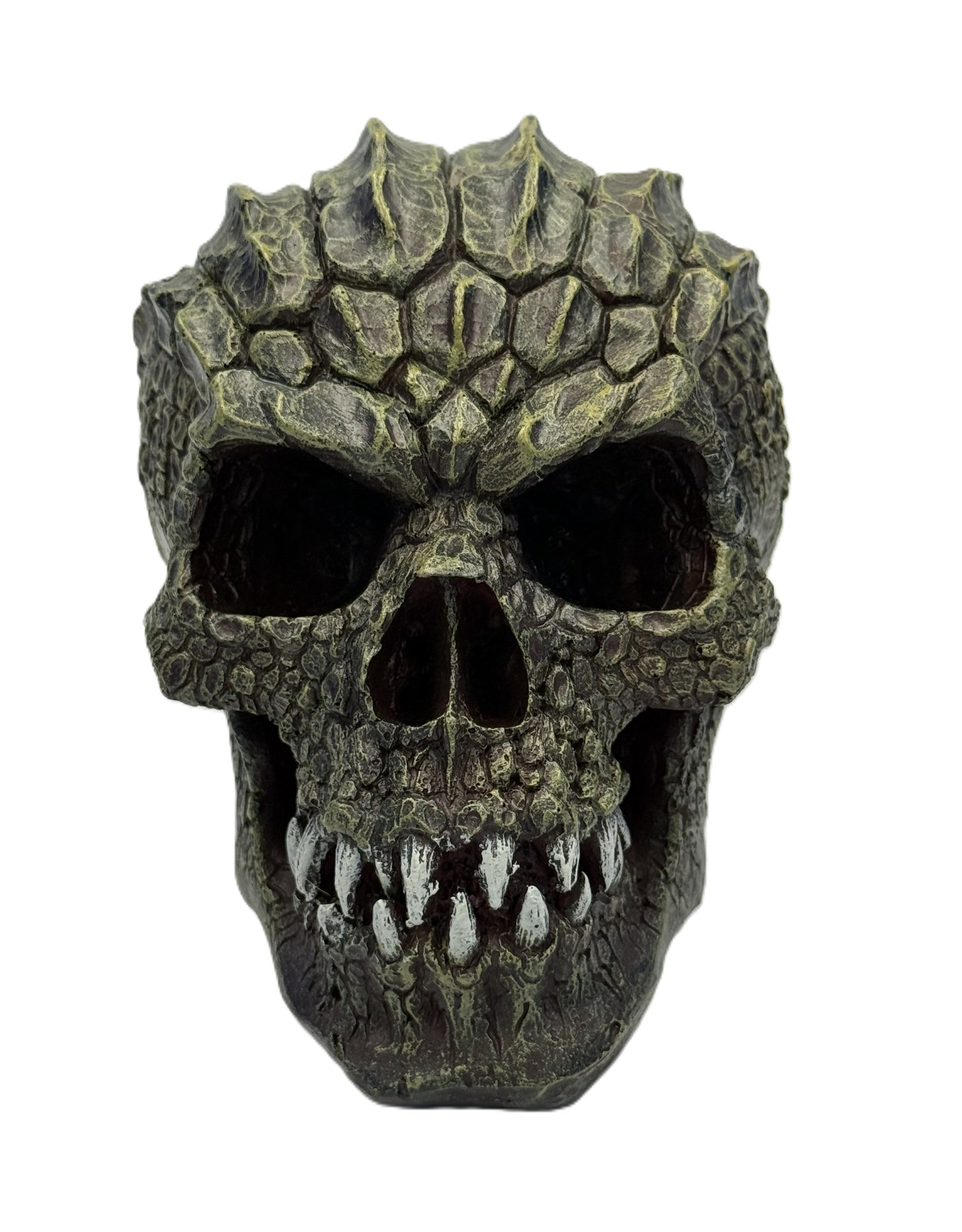 Front view of gator head skull statue with reptile scale texture and sharp teeth hand painted resin decor
