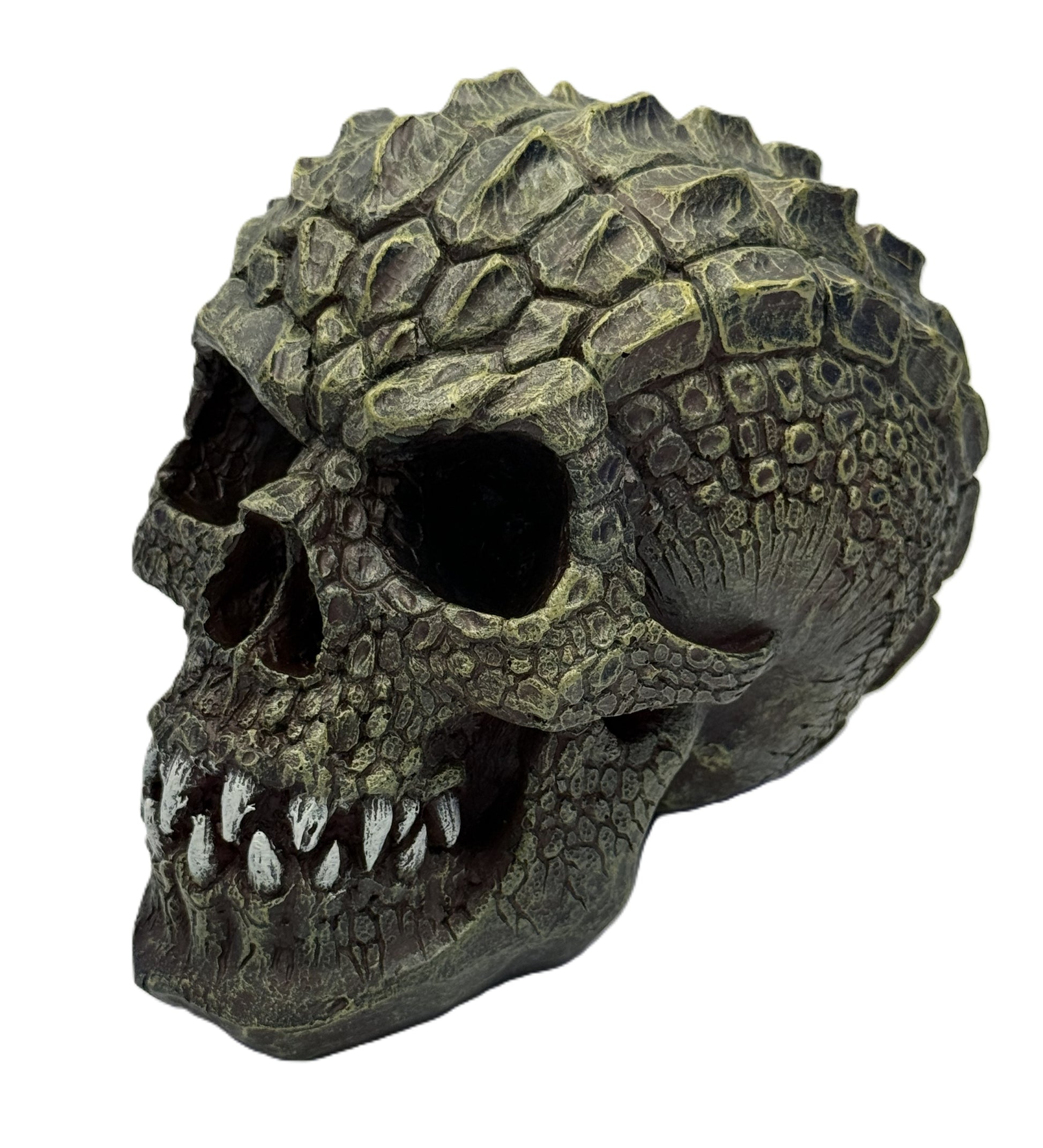 Left angled view of reptile skull statue showing detailed scales and teeth in hand painted resin finish
