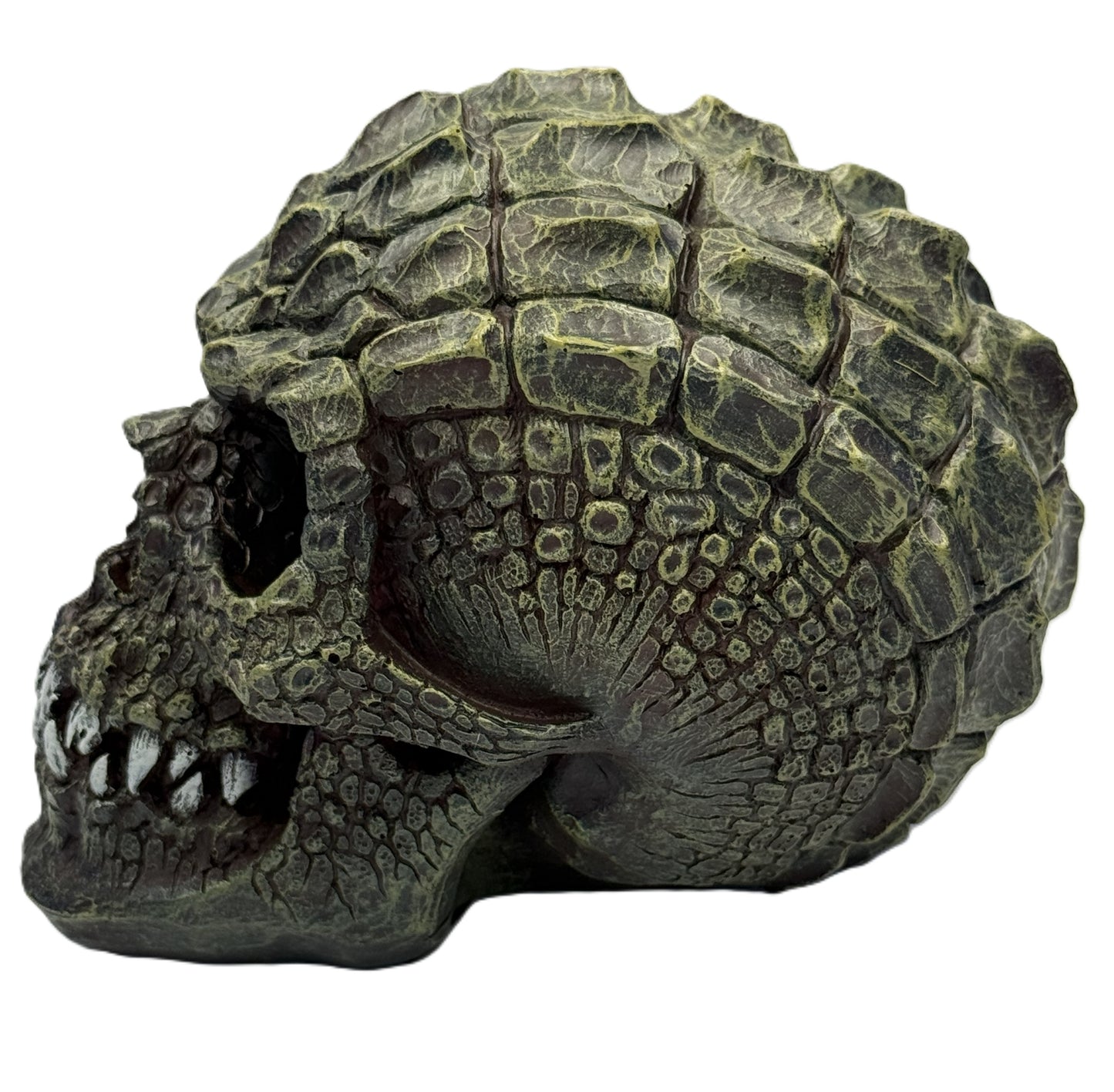 Side view of gator skull decor highlighting textured reptile scales and sculpted jaw details
