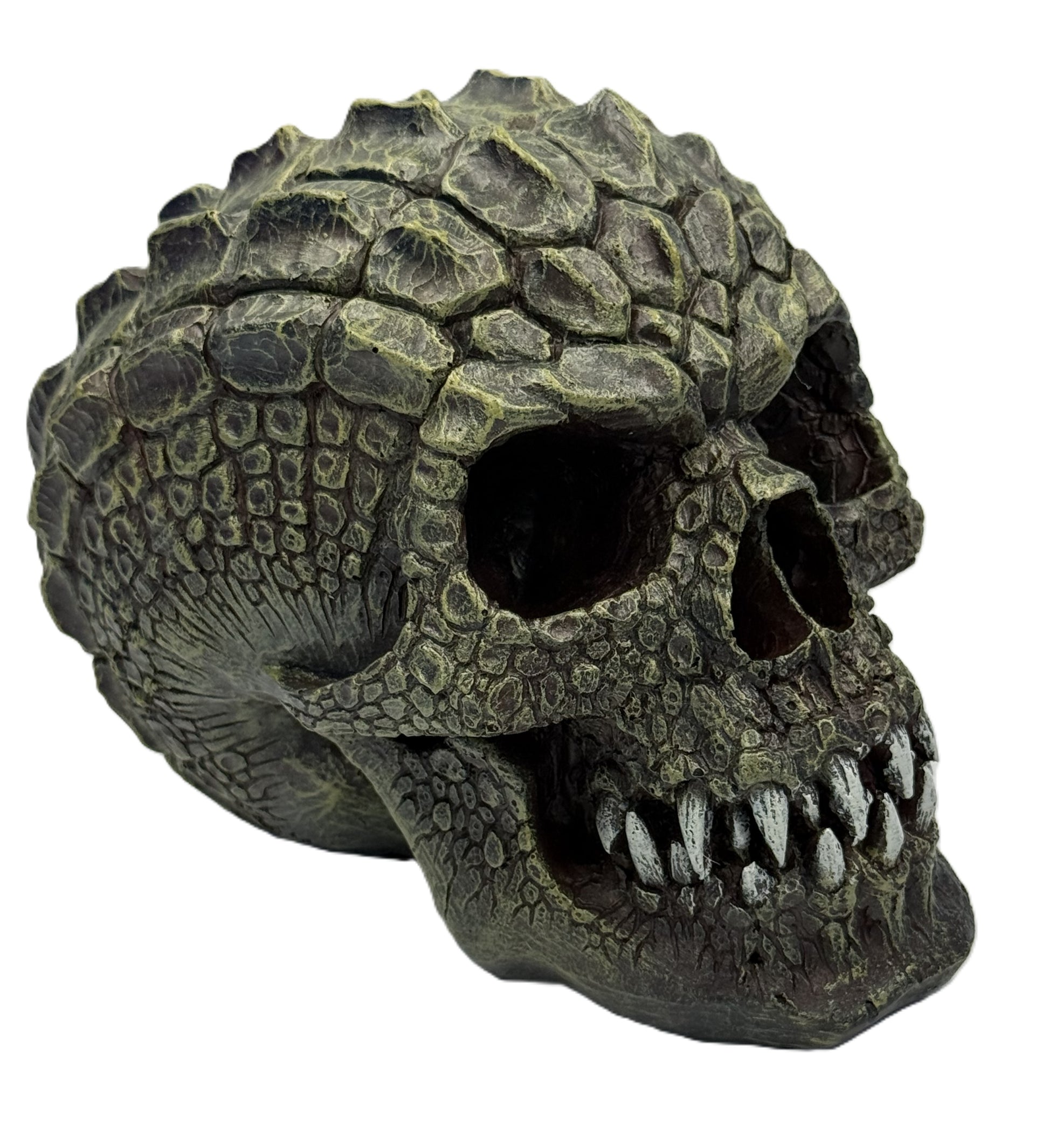 Right angled view of reptile skull decor with pronounced teeth and detailed scale pattern
