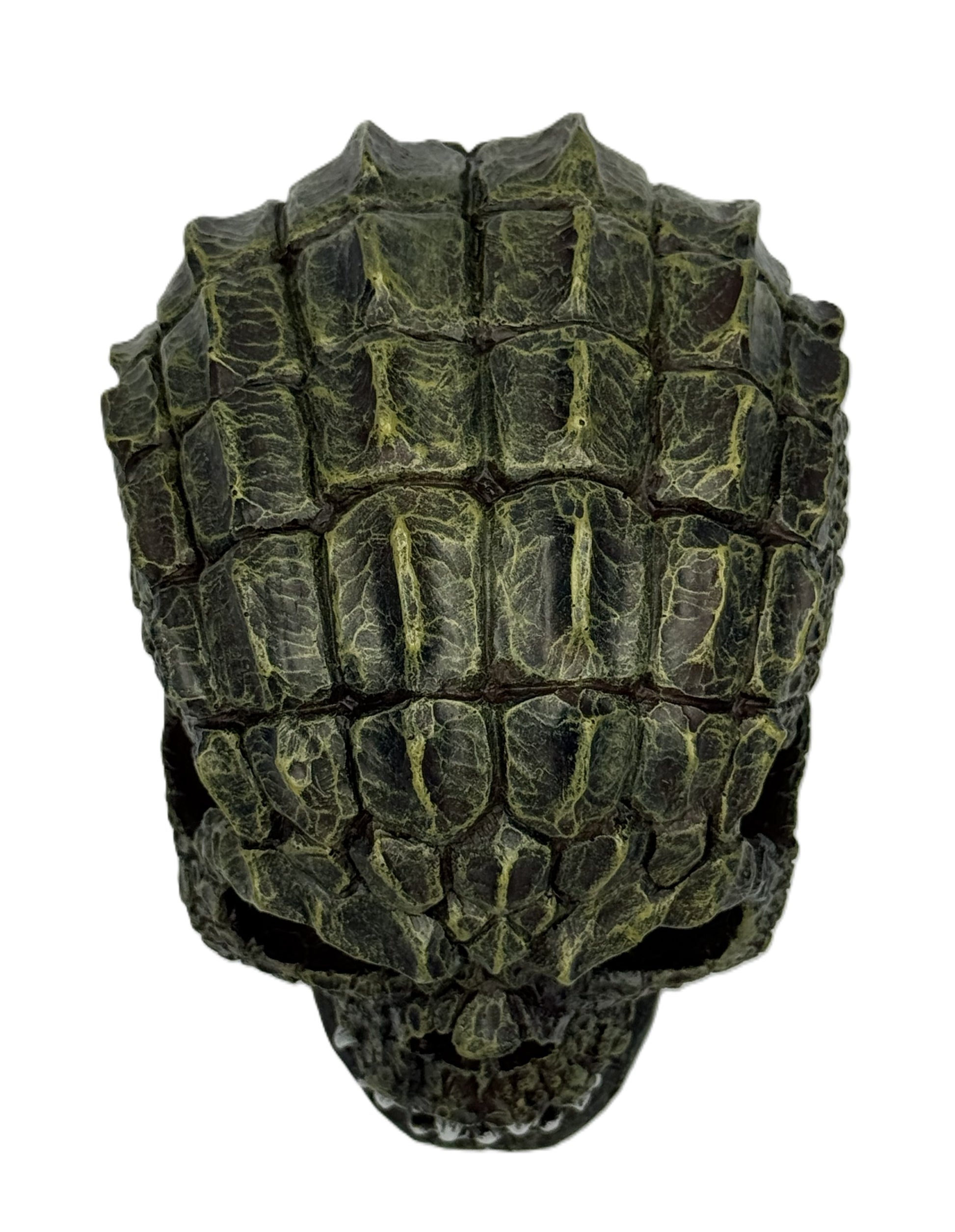 Top back view of gator skull statue showcasing segmented scale armor and realistic reptile texture

