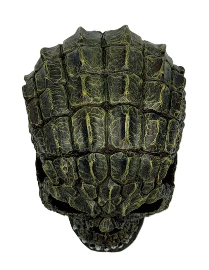 Top back view of gator skull statue showcasing segmented scale armor and realistic reptile texture
