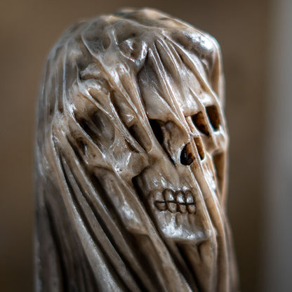 Close up of skull face under veil showing detailed bone features
