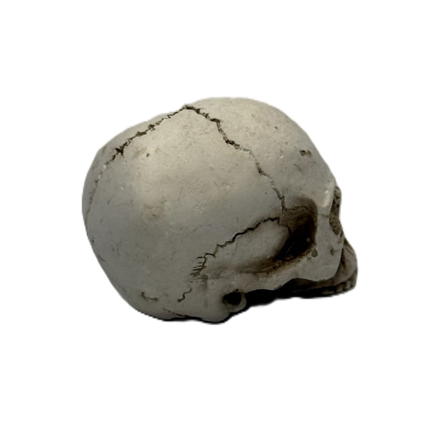 Angled view of mini skull sculpture highlighting depth and natural bone aging details
