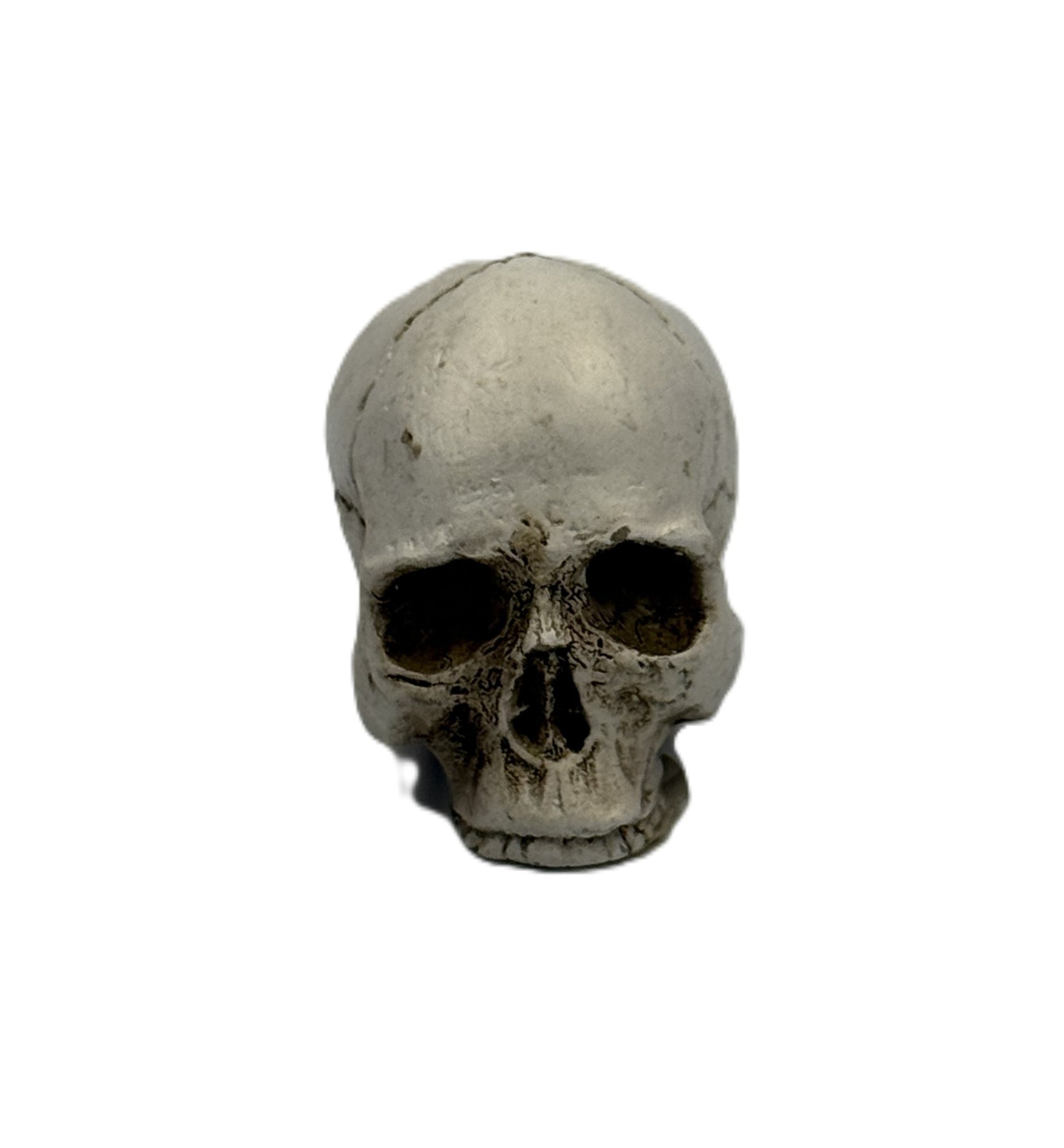 Close front view of gothic skull decor showing hollow eye sockets and aged texture
