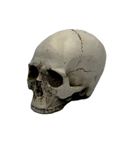 Front angle view of mini skull head statue with aged bone finish and realistic cracks
