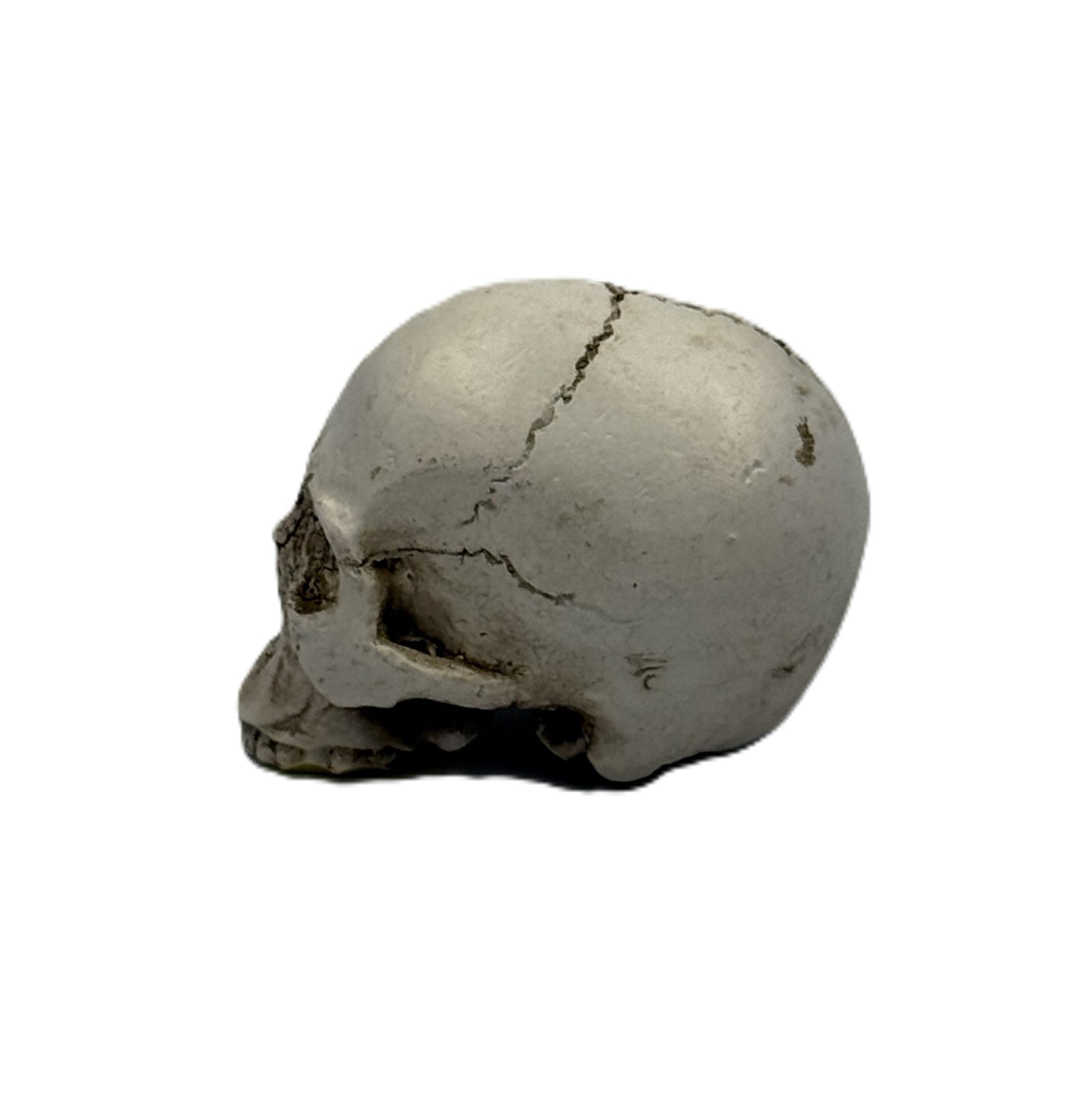 Side view of gothic mini skull decor showing detailed texture and weathered bone look
