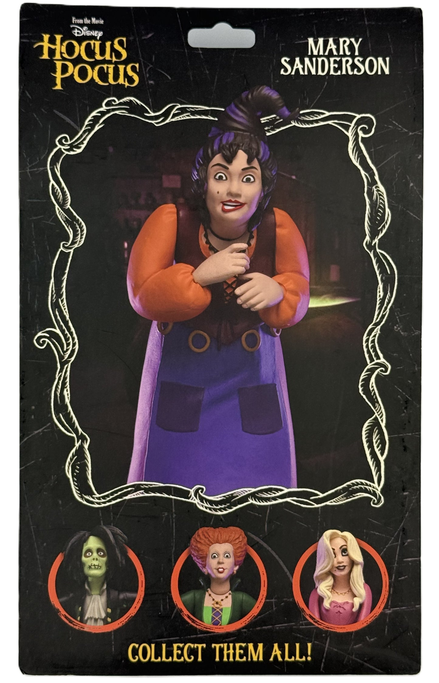 NECA Hocus Pocus Mary Sanderson figure back showing character artwork and collection lineup
