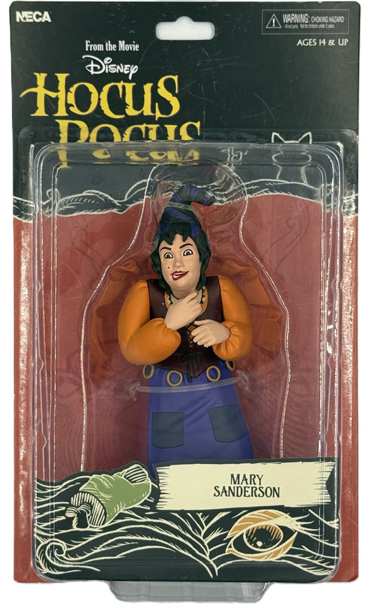 NECA Hocus Pocus Mary Sanderson figure front view in packaging
