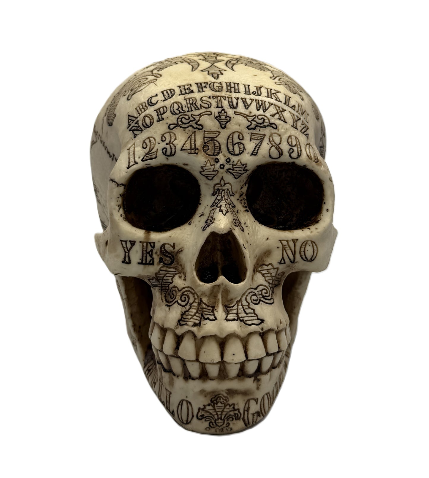 Straight front view showing Ouija alphabet engraving and detailed skull features
