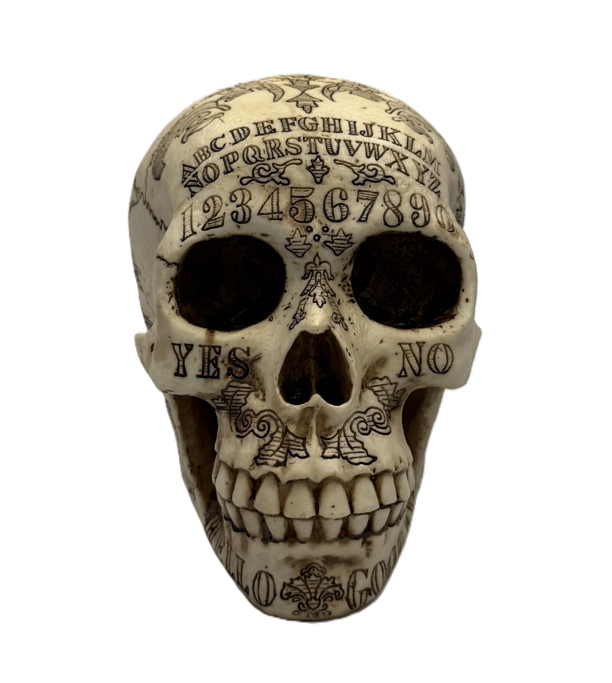 Straight front view showing Ouija alphabet engraving and detailed skull features
