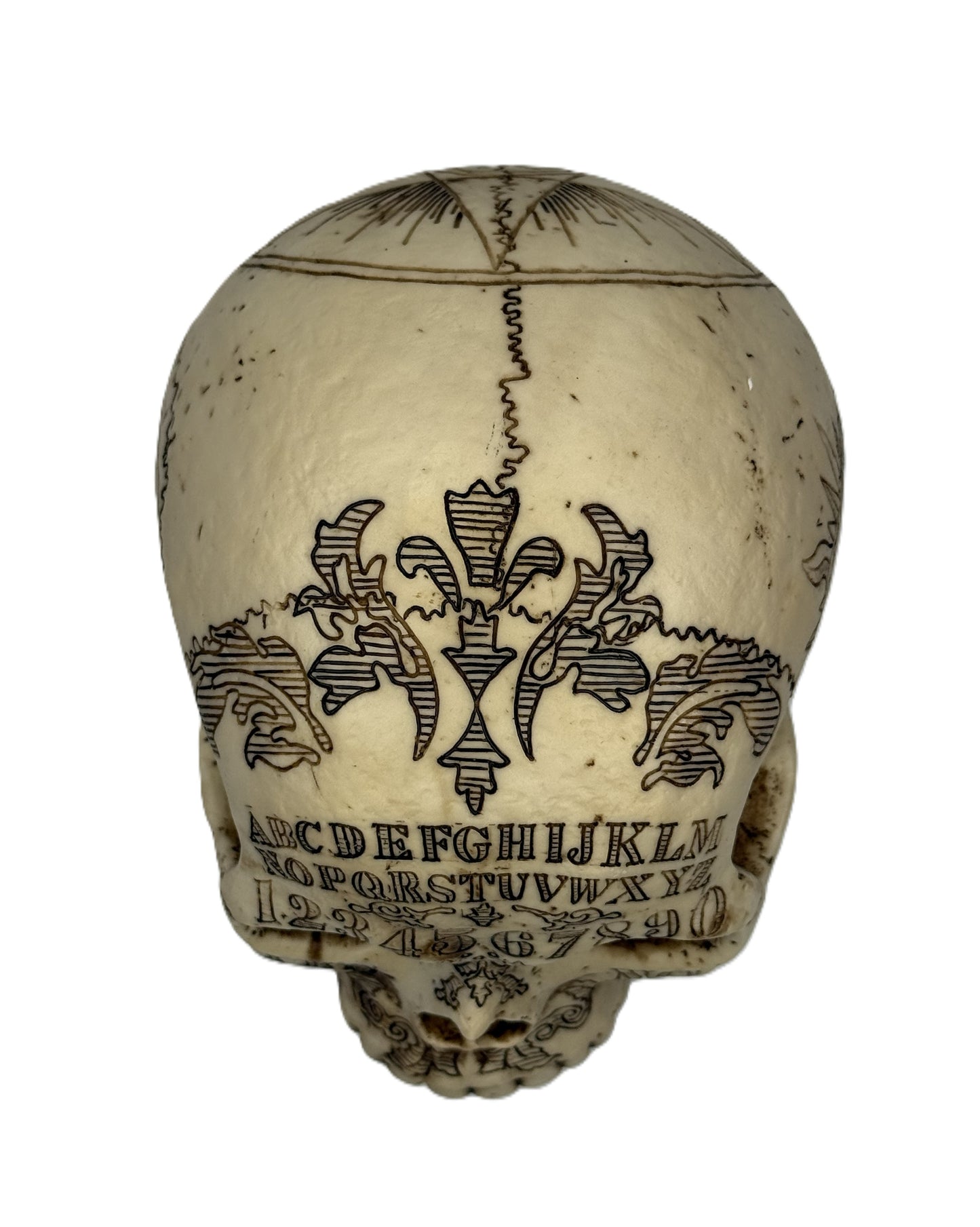 Top rear view of gothic skull highlighting engraved patterns and symmetrical design
